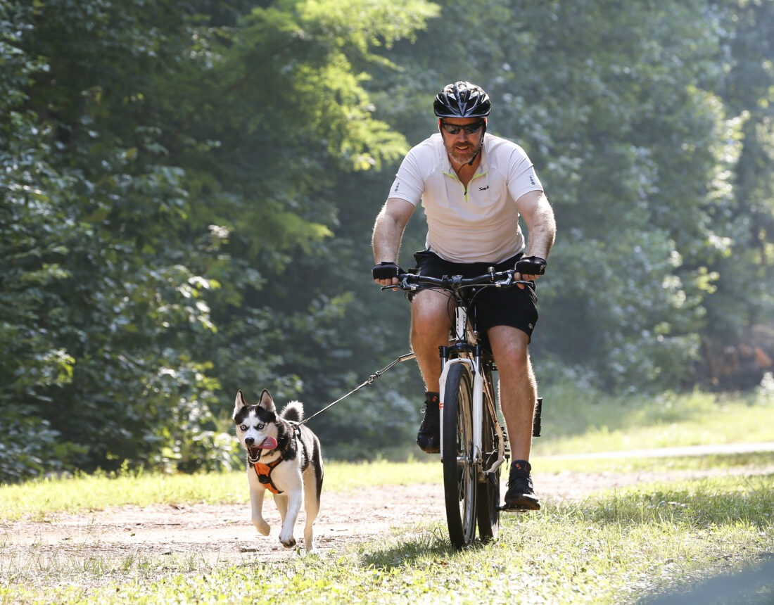 Man on mountain bike wearing white shirt and black helmet. A small husky type dog runs directly beside the bike. Lush greenery in background.